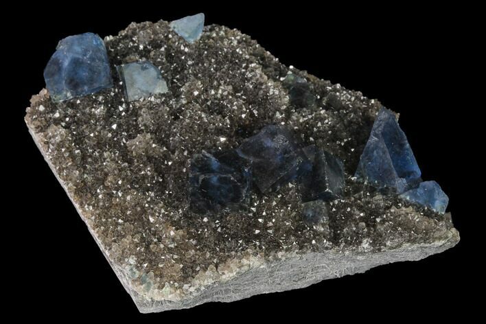 Blue Cubic Fluorite on Smoky Quartz - China #142612